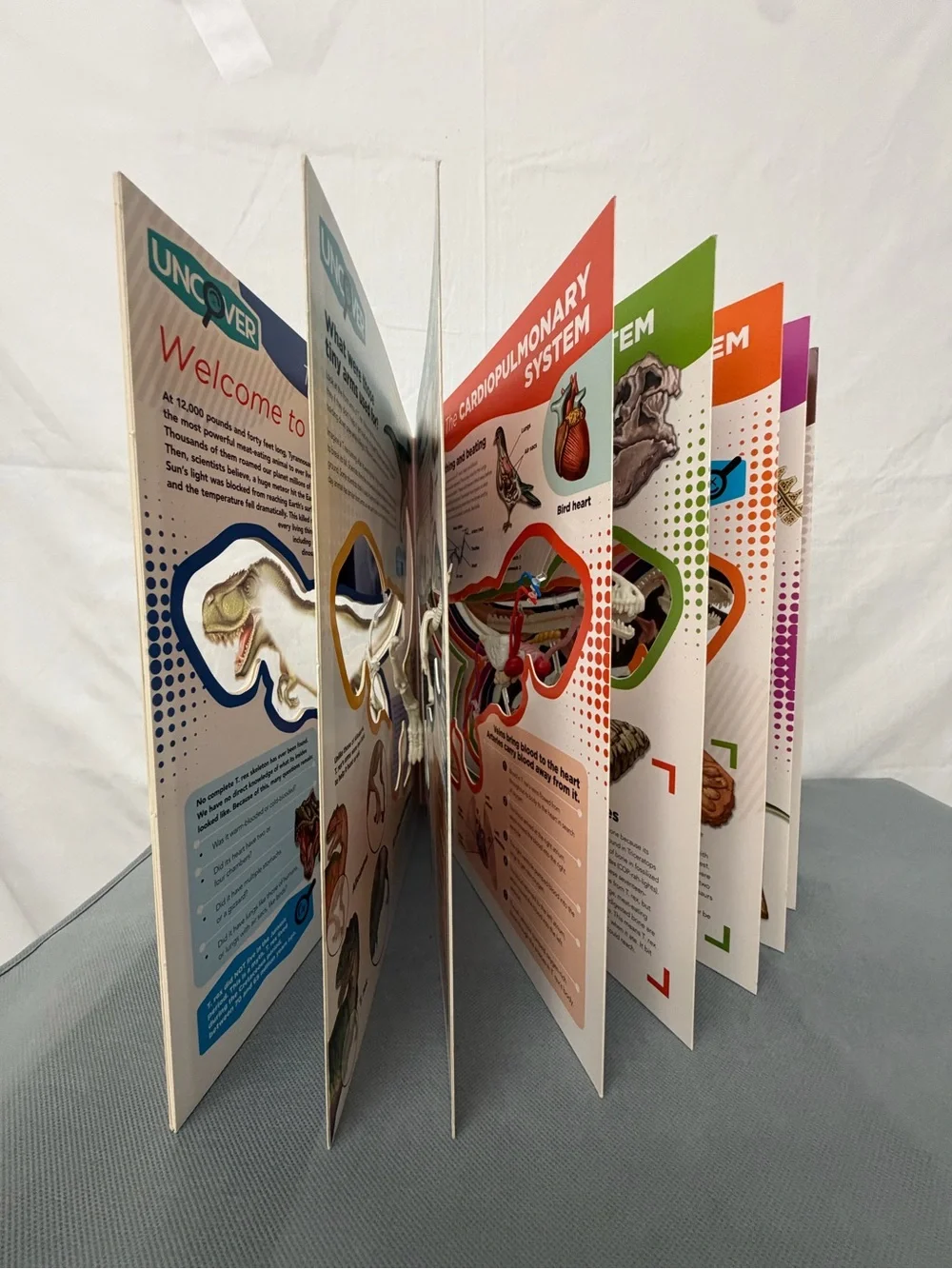 Uncover A T. Rex Book with 3D Model Silver Dolphin (F237)